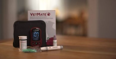 Glucometro perros 3